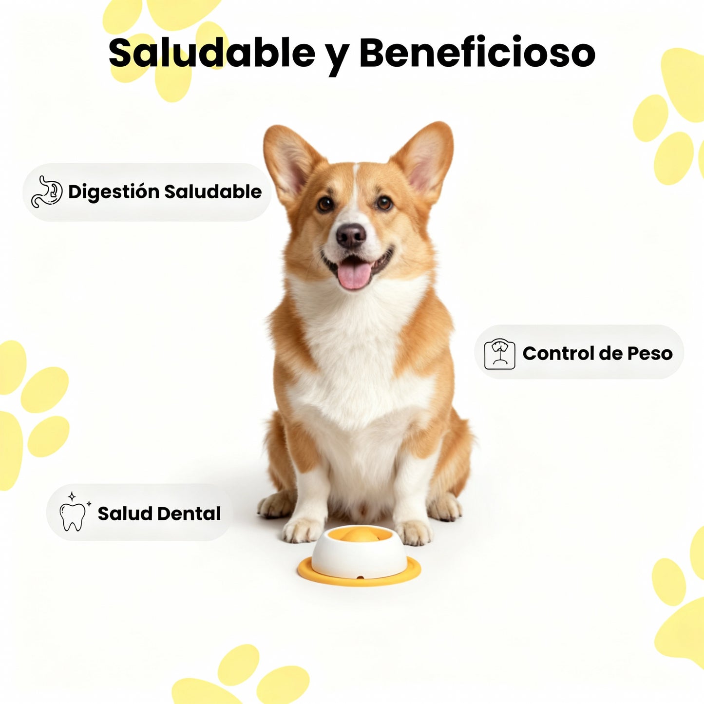 ZenDog Bowl: calma su ansiedad