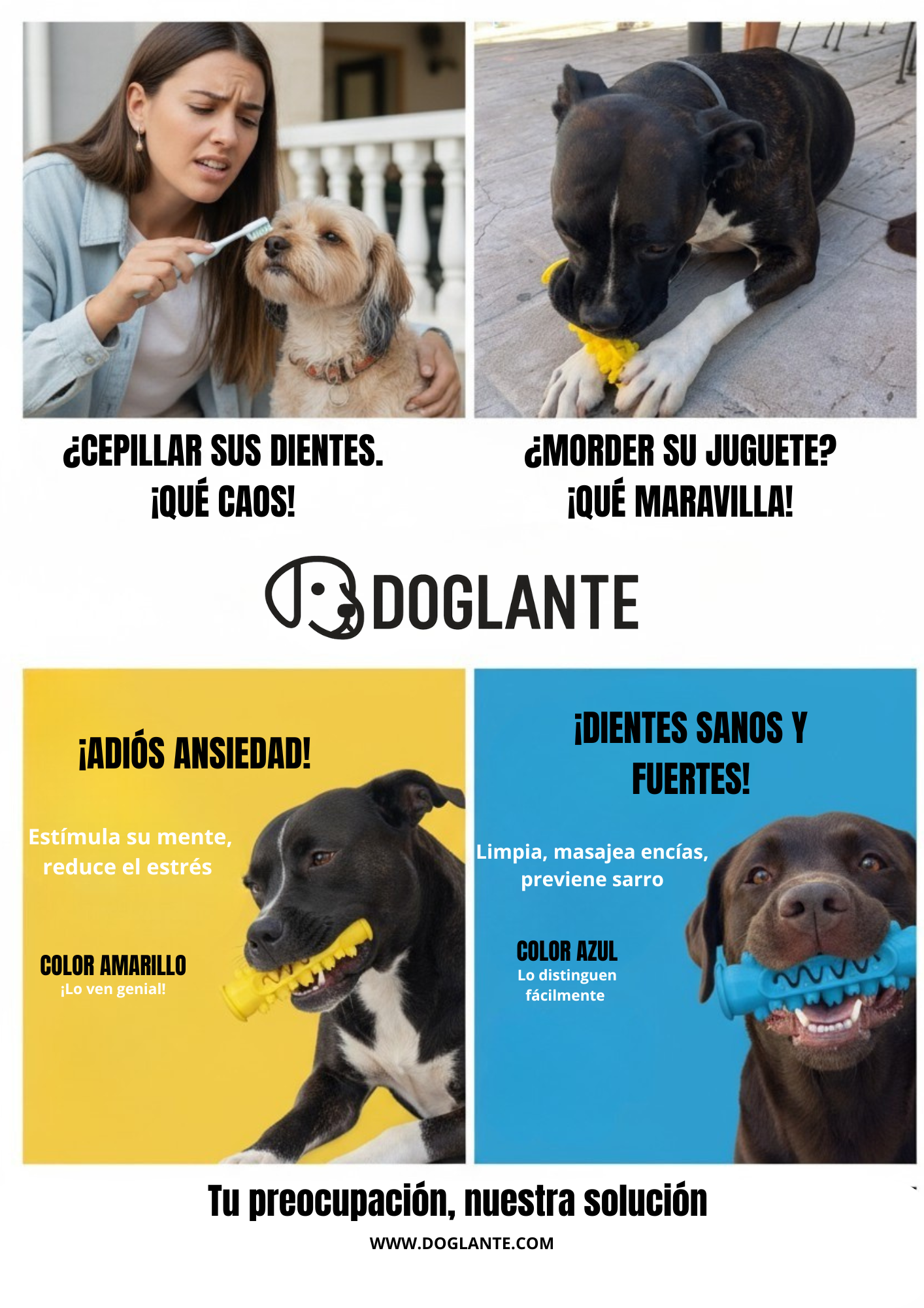 DOGOCLEAN: El cepillo irrompible todo-en-uno