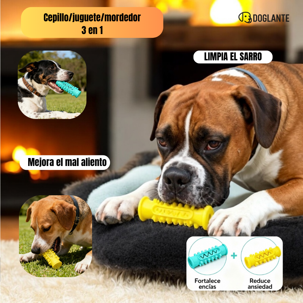 DOGOCLEAN: El cepillo irrompible todo-en-uno