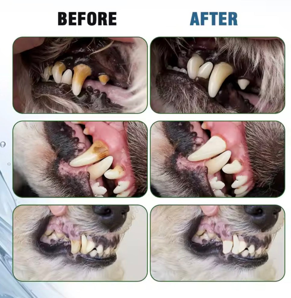 Reduce mal aliento, elimina sarro y entretiene durante horas.