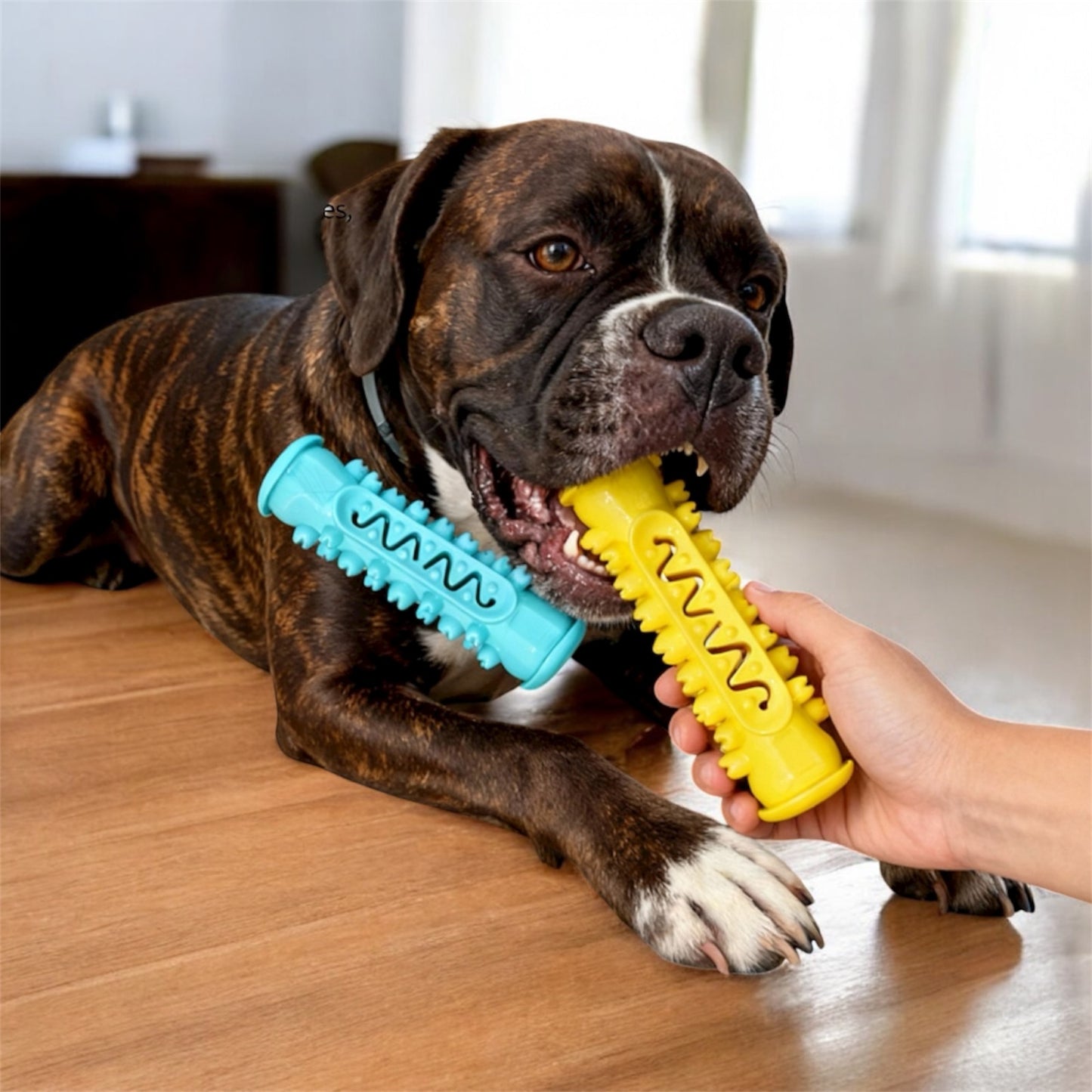 DOGOCLEAN: El cepillo irrompible todo-en-uno