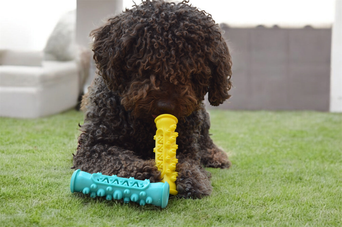 OFERTA 2x1 DOGOCLEAN: Sé la envidia del parque