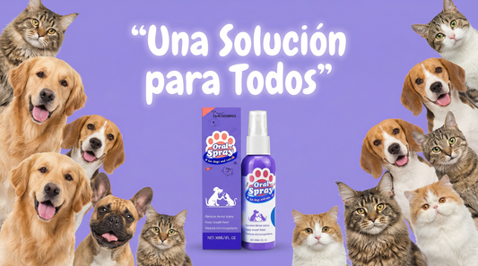 DentalFresh Spray – Spray Antisarro y Aliento Fresco para Perros