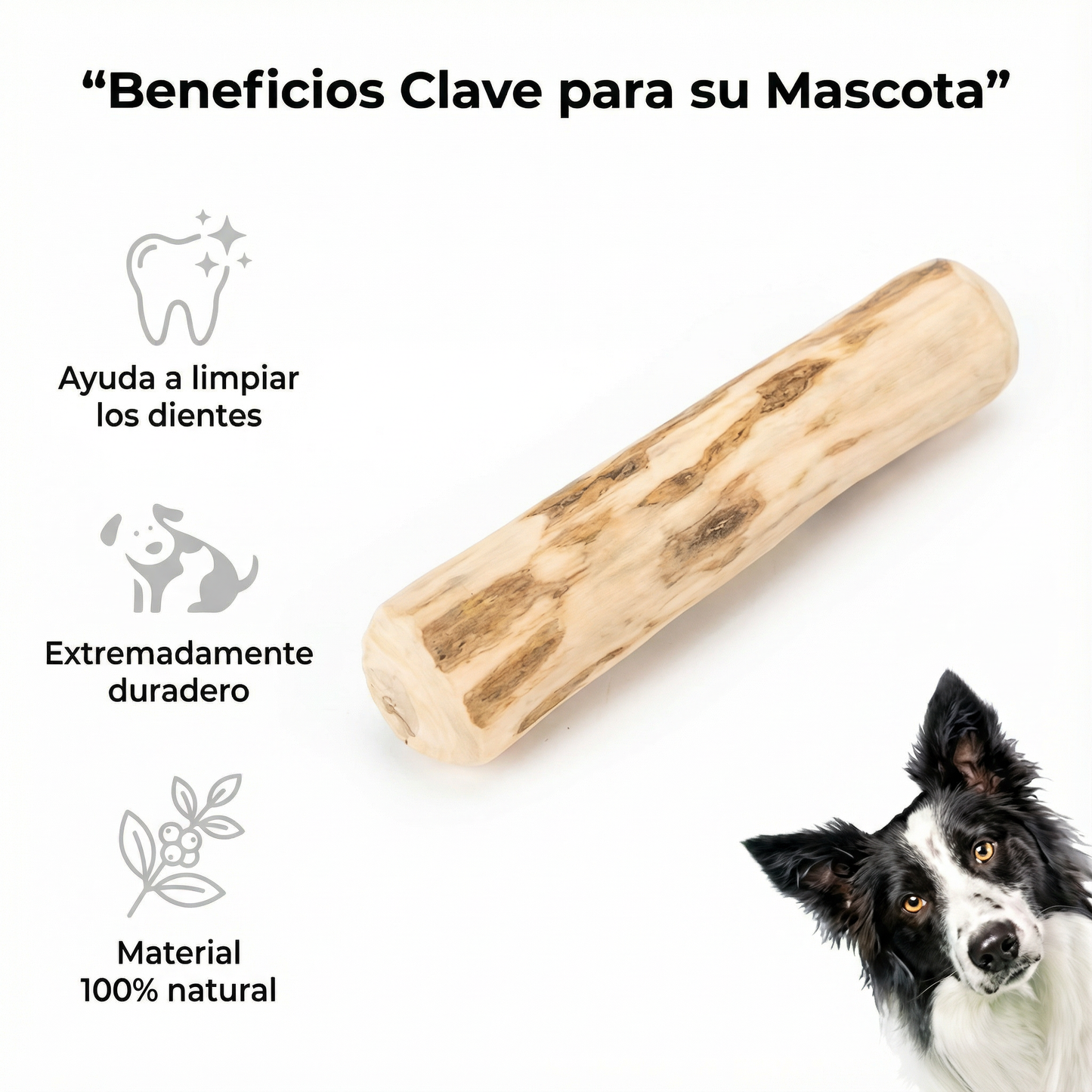 Palo Natural de Madera para Perros – Mordedor Antiestrés y Limpieza Dental