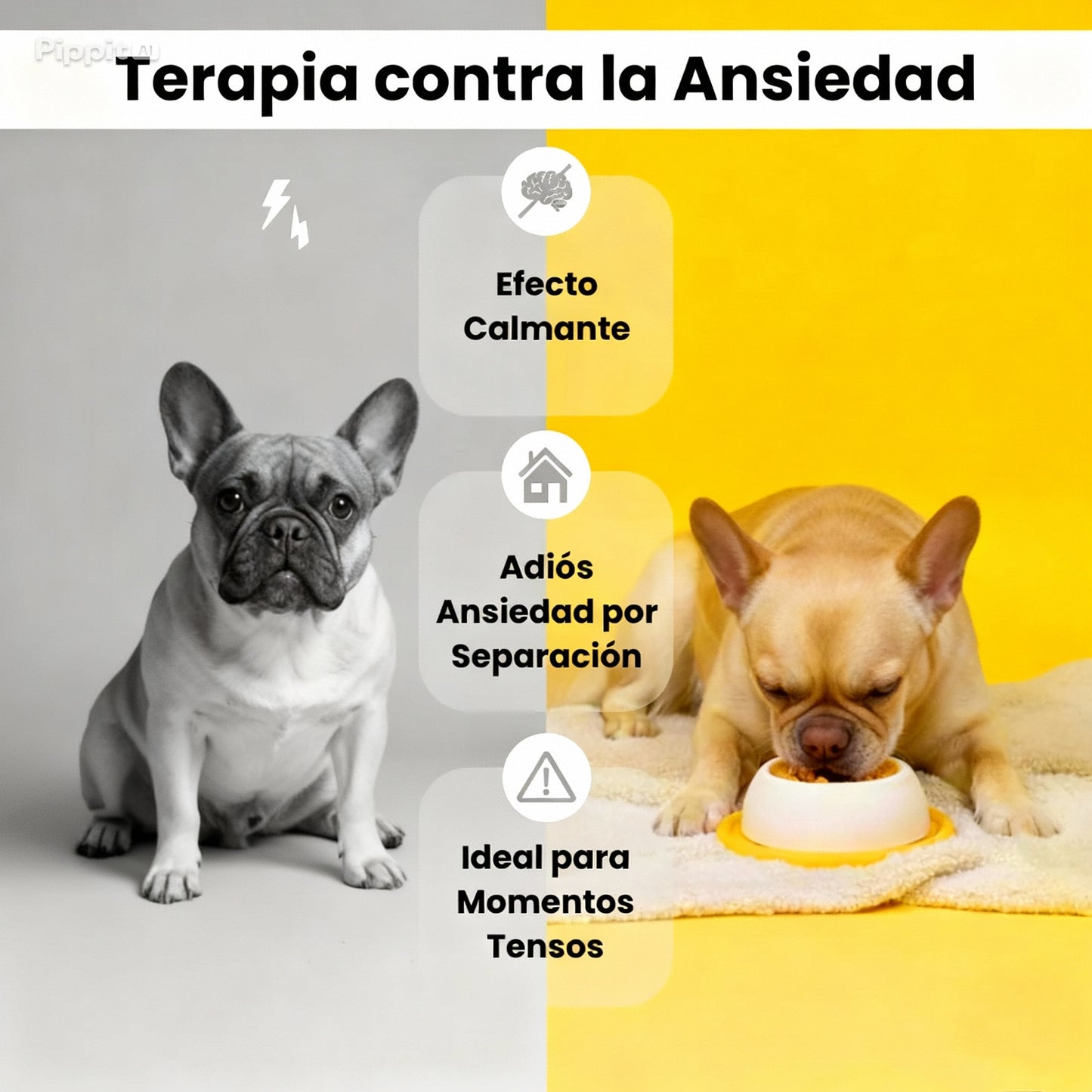 ZenDog Bowl: calma su ansiedad